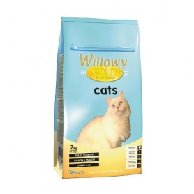 Willowy Gold Cat Adult 2kg
