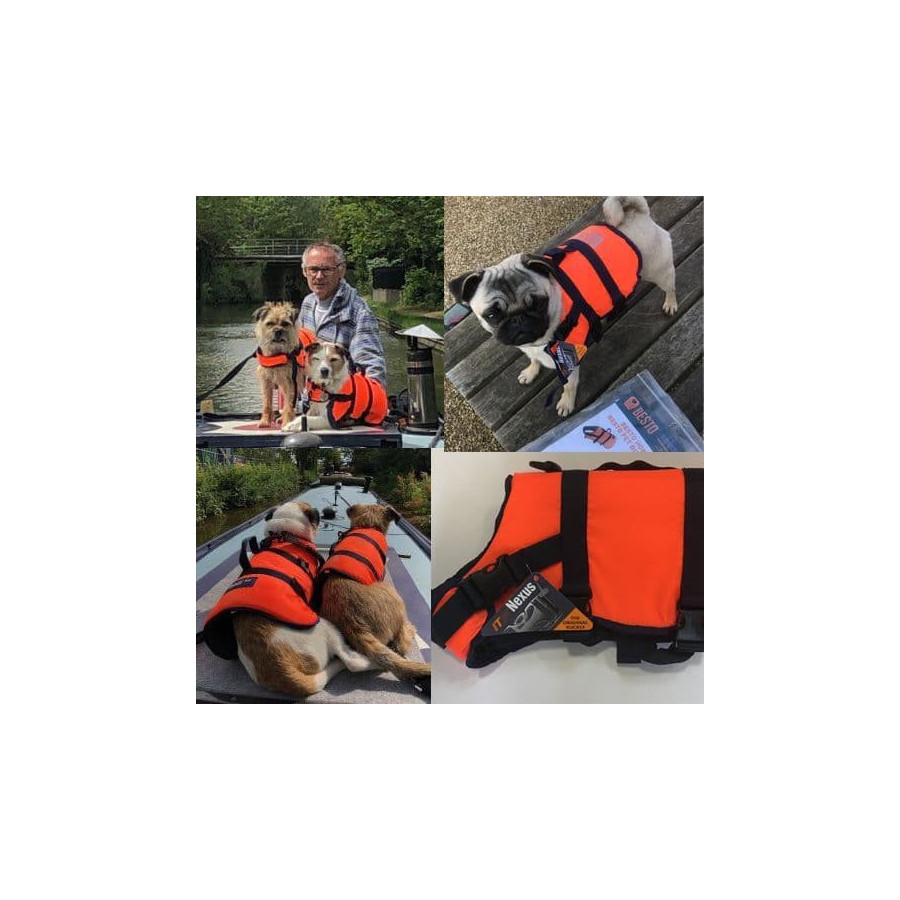 Suņu glābšanas veste (0-4kg) Besto