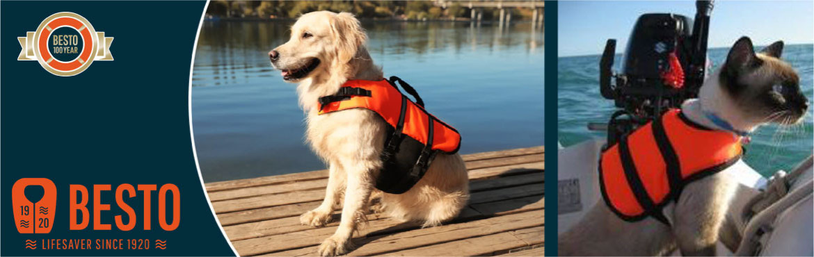 Dog lifejackets