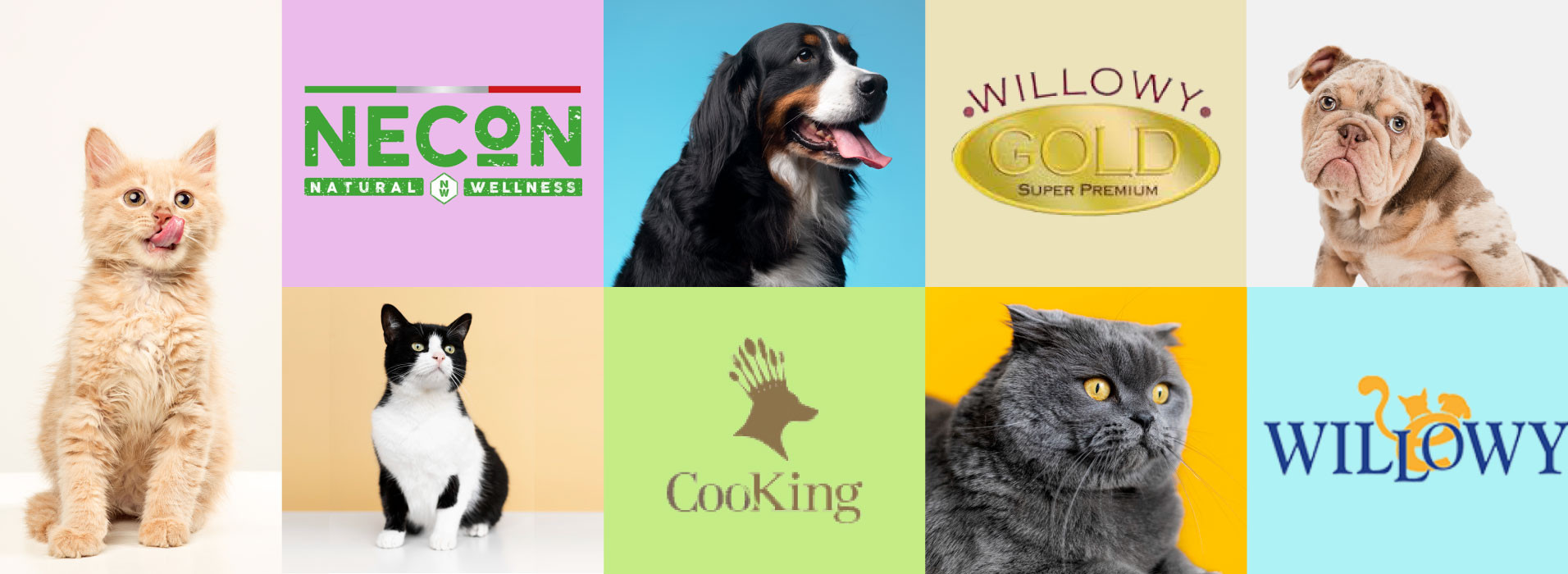 For Dogs & Cats